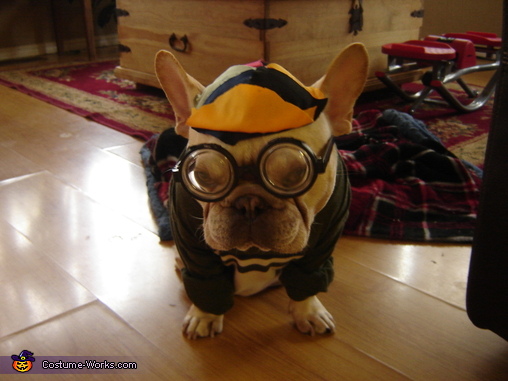 Nerd Dog Costume