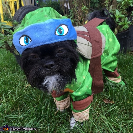 Ninja Turtle Dog Costume