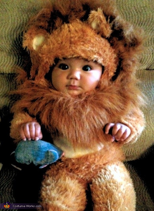 Noah's Ark Baby Lion Costume