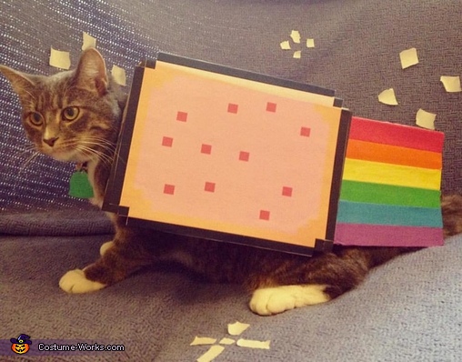 Nyan Cat Costume