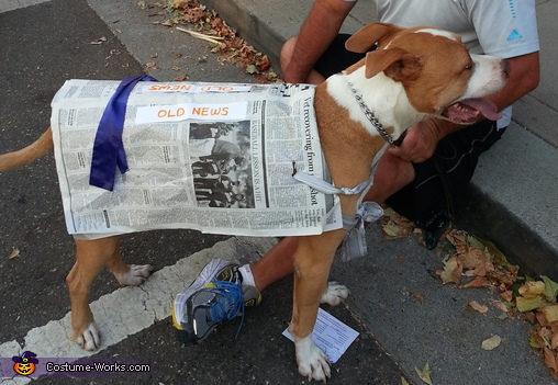 Old News Dog Costume