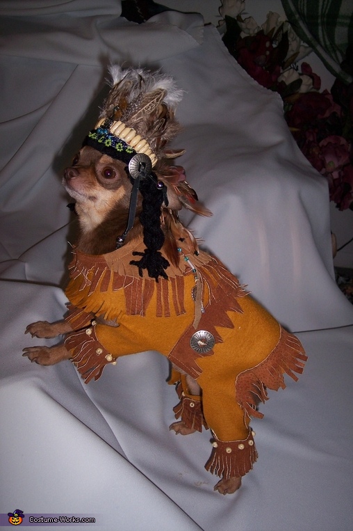 One Lil Indian Costume