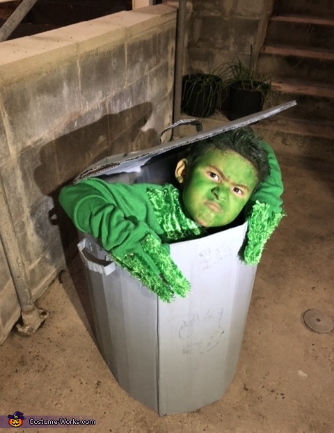 Oscar the Grouch Costume