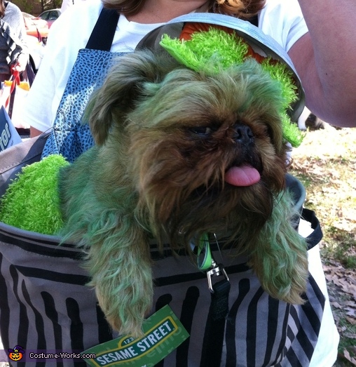 Oscar the Grouch Dog's Costume