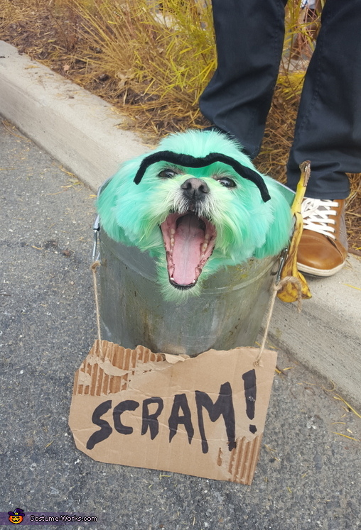 oscar the grouch dog costume