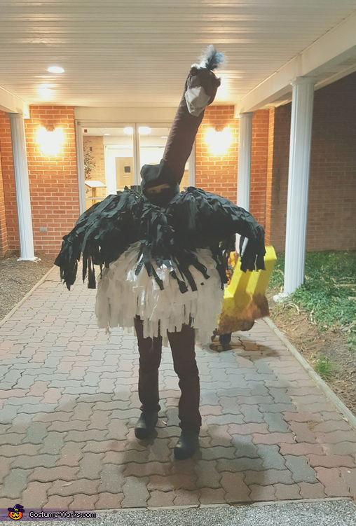 Homemade Ostrich Costume