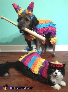 Party Animals Costume