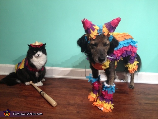 Party Animals - Costumes for Pets | DIY Costumes Under $45 ...