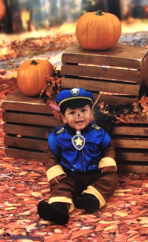 Paw Patrol Chase Toddler Costume Coolest Halloween Costumes