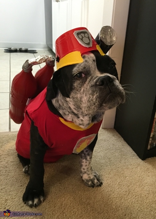 Paw Patrol Marshall Dog Costume | Coolest DIY Costumes