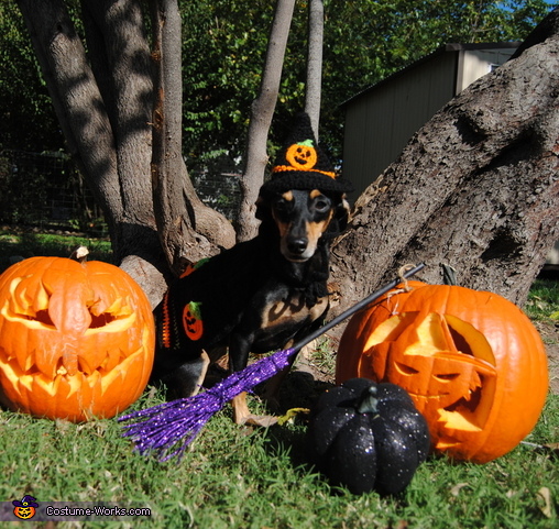Paw Witch Costume