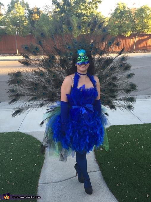 Creative DIY Peacock Costume | Easy DIY Costumes - Photo 6/6