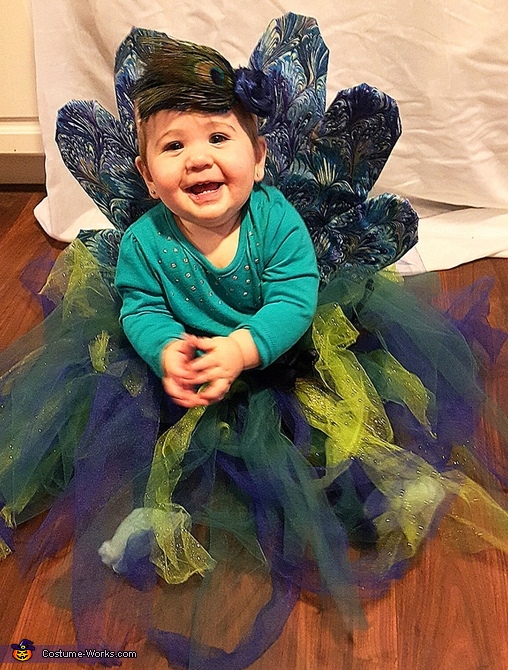 Cute Peacock Baby Costume | Easy DIY Costumes