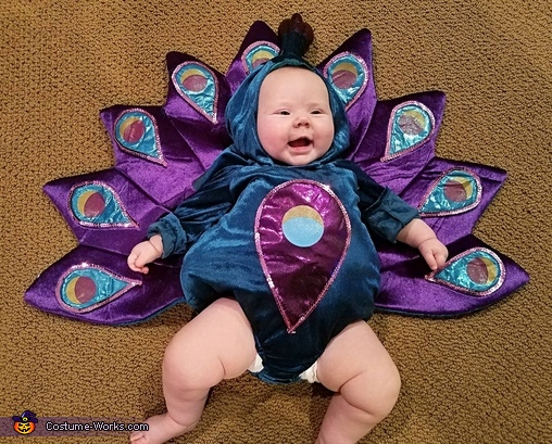 Peacock Baby Costume