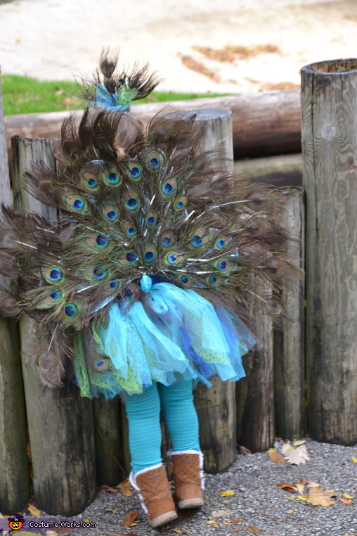 DIY Peacock Costume for Girls | Mind Blowing DIY Costumes - Photo 2/6