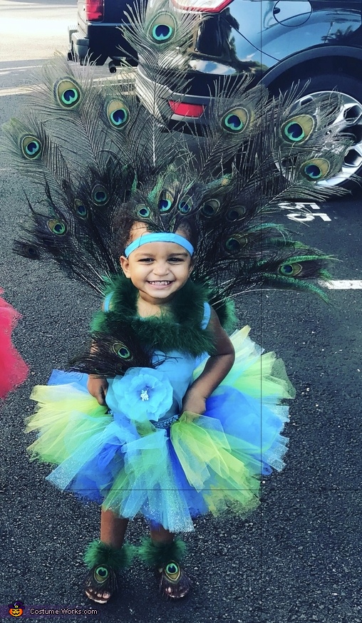Peacock Girl's Halloween Costume | Best DIY Costumes
