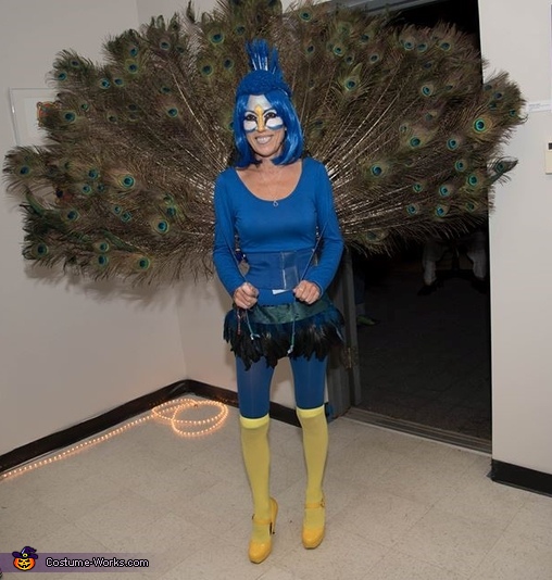 DIY Peacock Adult Costume