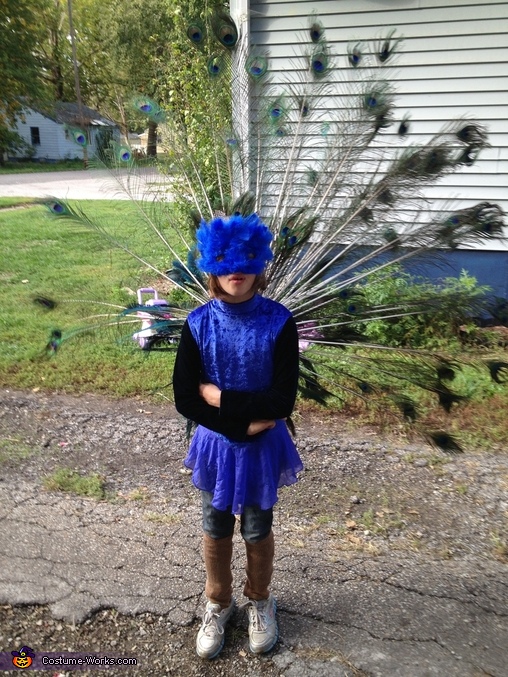 Peacock Costume