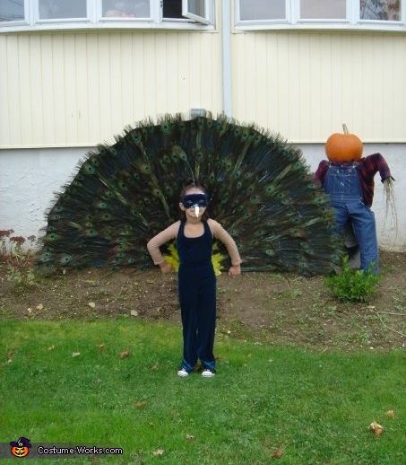 peacock costume homemade