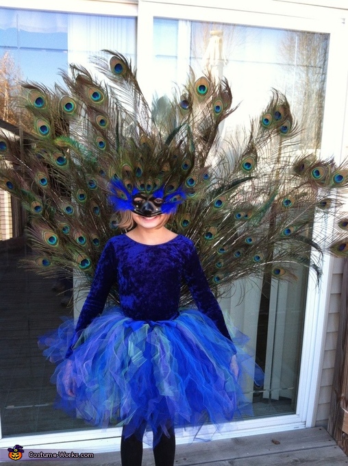 Homemade Peacock Costume Idea