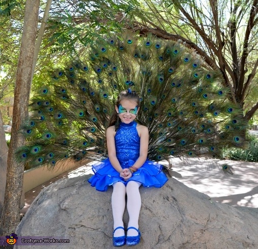 Peacock Costume