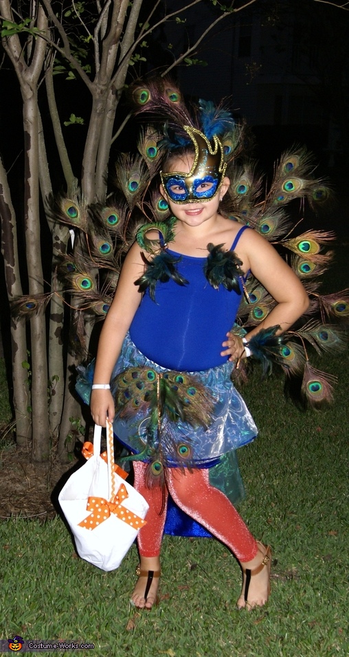 Peacock Bird Kids Fancy Dress Costume - BarbieTales.com