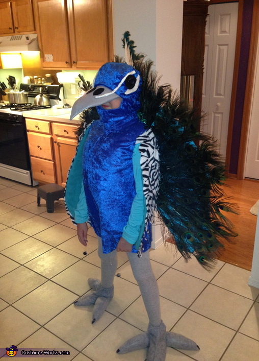 Peacock Costume