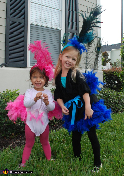 Peacock and Flamingo homemade Halloween costumes for girls | How-to Guide