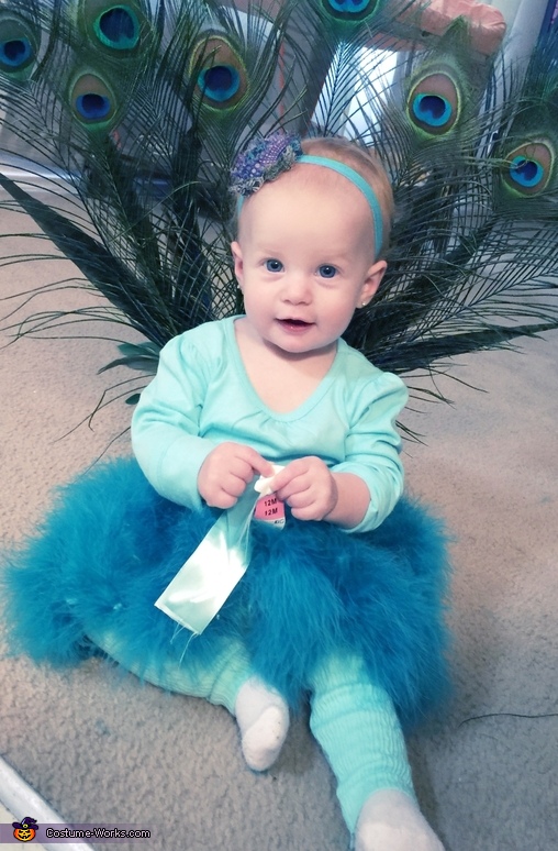 DIY Peacock Baby Costume