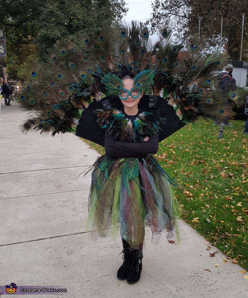 Peacock Girl's Costume | Creative Costume Ideas - Photo 3/3