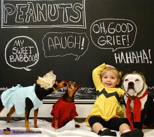 Peanuts Charlie Brown and Friends Costume