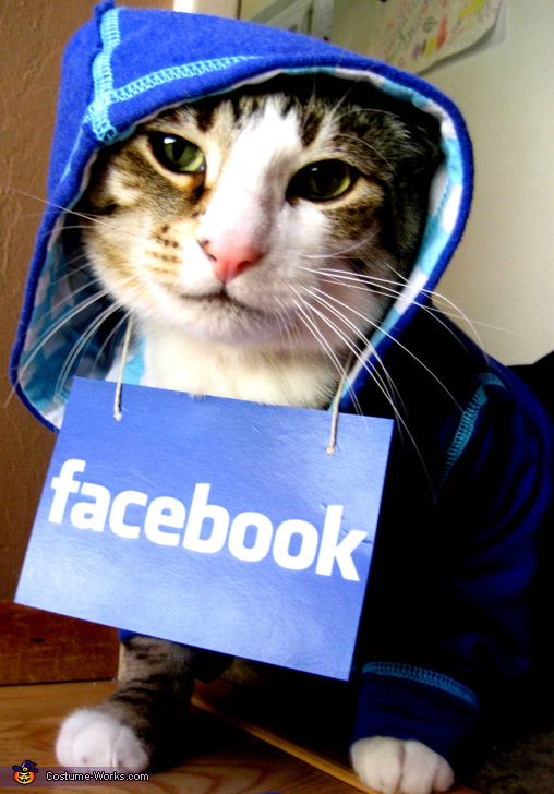 Facebook Hoodie Costume