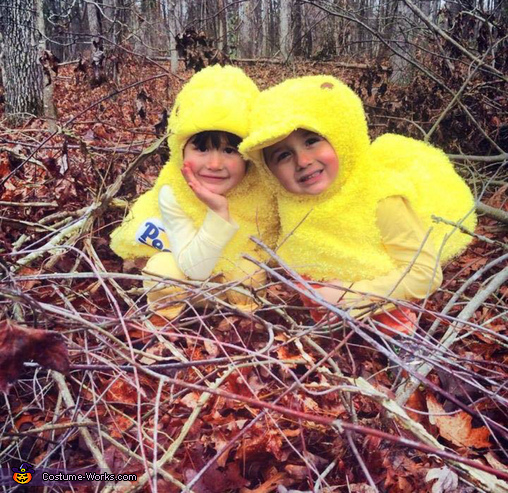 Peeps in a Nest Costume