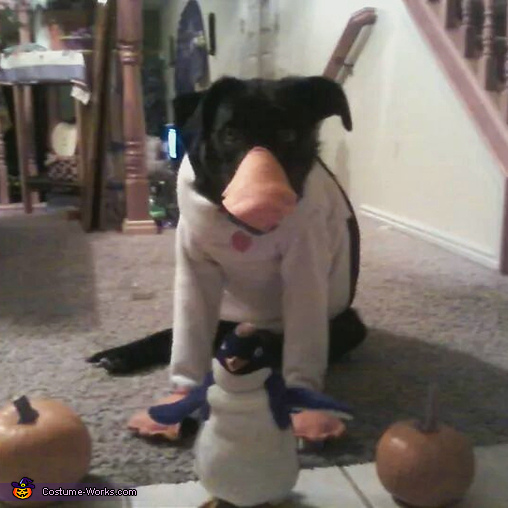 Penguin Dog Costume