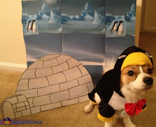 Penguin dog outlet costume