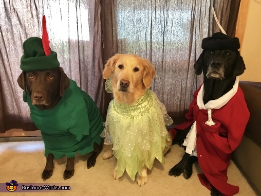 Peter Pan Pups Costume  DIY Costumes Under $35