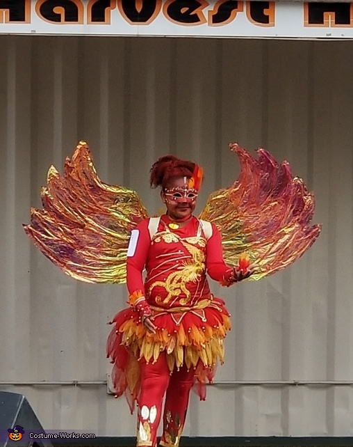 Phoenix Costume