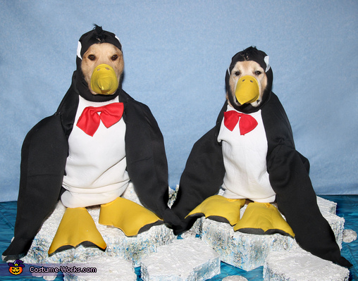 Phoenix and Gryphon as Penguins on Icebergs