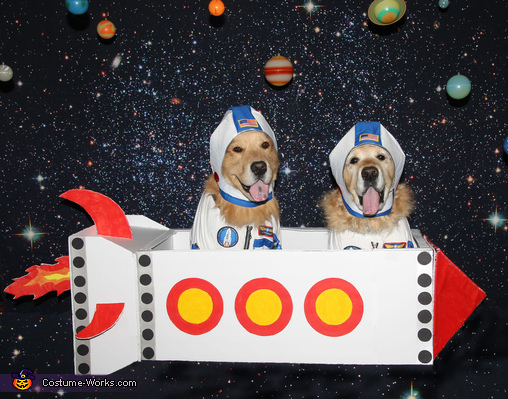 Phoenix and Gryphon the Astronauts Costume