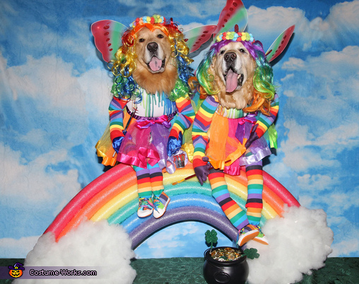 Phoenix and Gryphon the Rainbow Fairies
