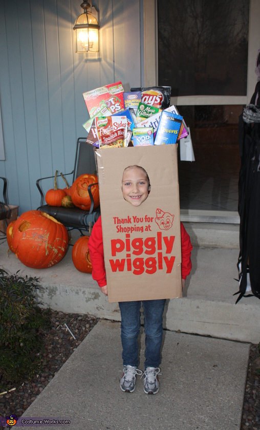 Piggly Wiggly Grocery Bag Costume