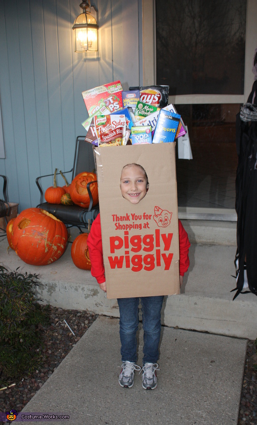 M&m Bag Costume