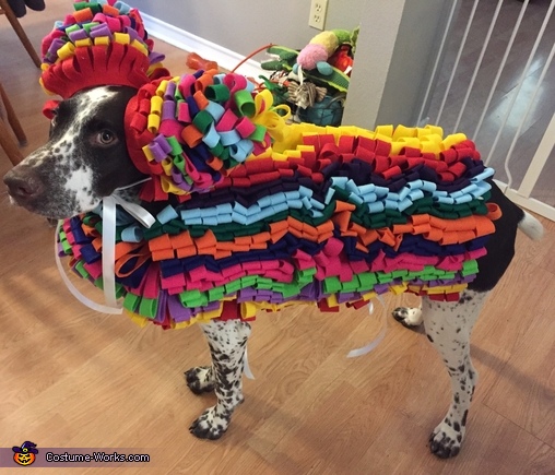 Goose the Pinata Costume