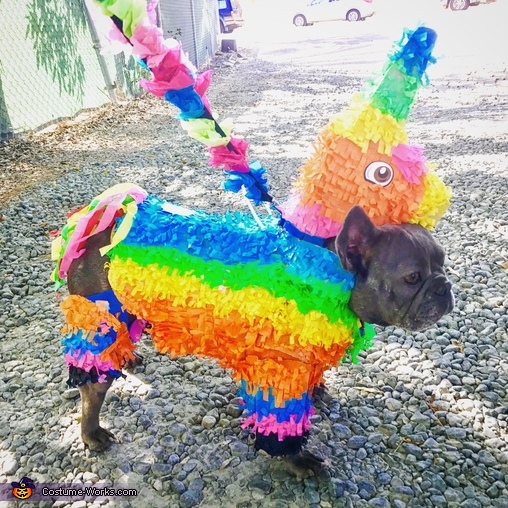 Pinata Puppy Costume