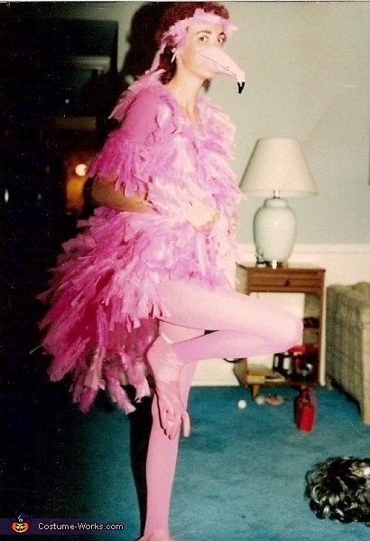 Pink Flamingo Costume