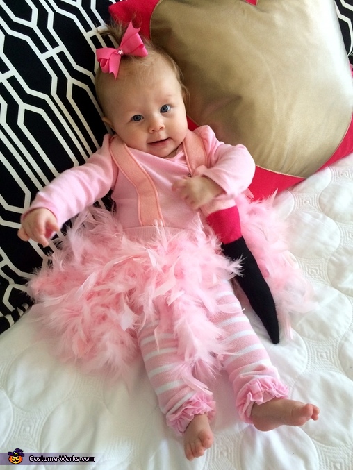 Pink Flamingo Baby Costume