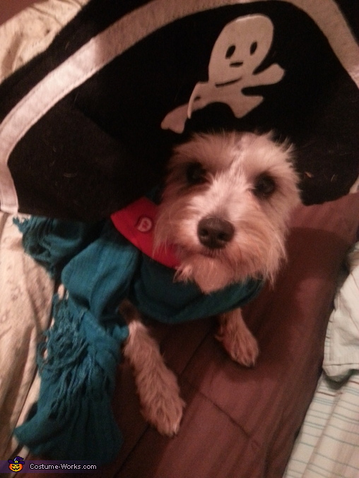 Piper the Pirate Costume