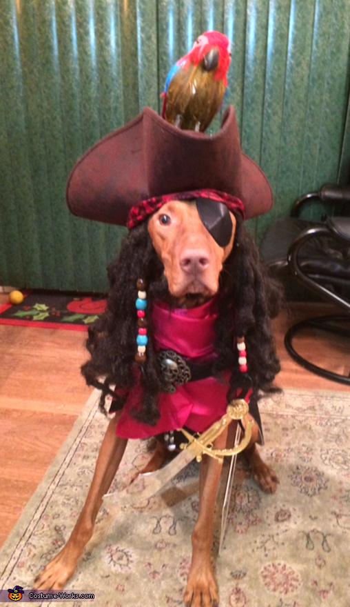 Pirate Captain Jack Sparrow Costume