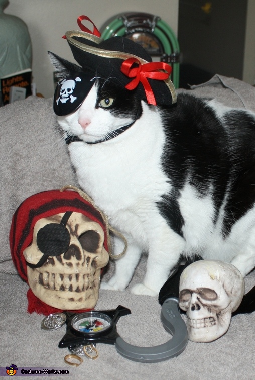 pirate_cat