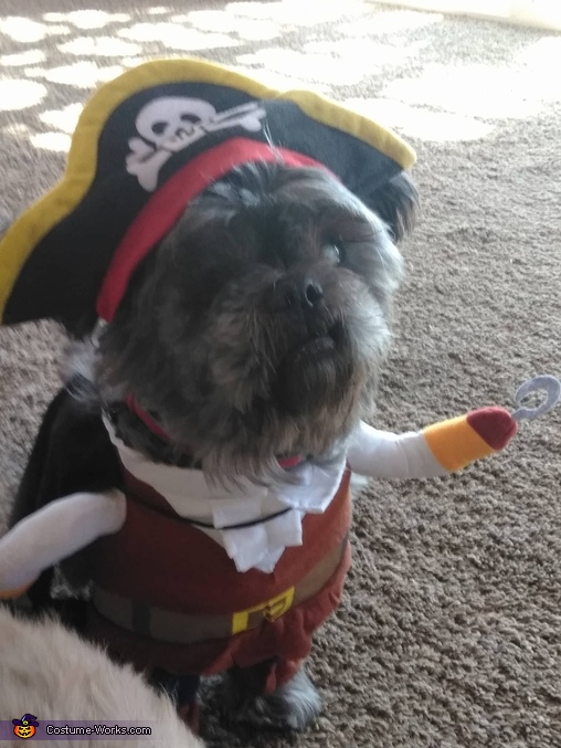 Pirate Louie Costume
